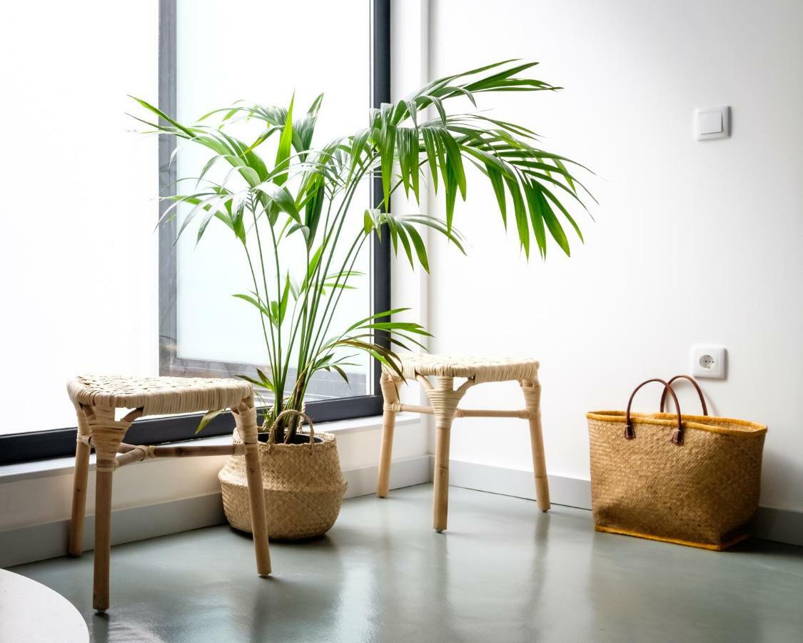 Casa Do Vento By Home Sweet Home อาเวโร ภายนอก รูปภาพ